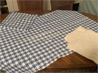 Retro blue checker picnic cloths napkins etc