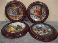 bird collector plates .