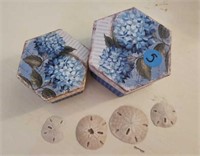 Sand Dollars and 2 Small Boxes