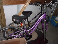 Schwinn lady bike
