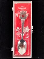 GUC Hawaii Souvenir Spoon in Case