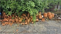 Large lot terracotta flower pots