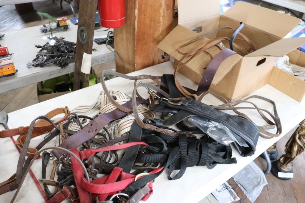 Group of horse tack