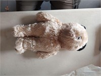 Stuffed Bears