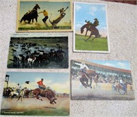 Vintage  Rodeo   Postcards (5)