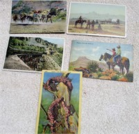 5pc Vintage Southwest  Postcards