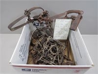 Box of 12 mink traps – 110 Body Grips, #1 Duke