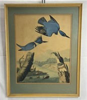 Blue Bird Print Framed & Matted