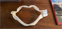 Shark dentures 6"