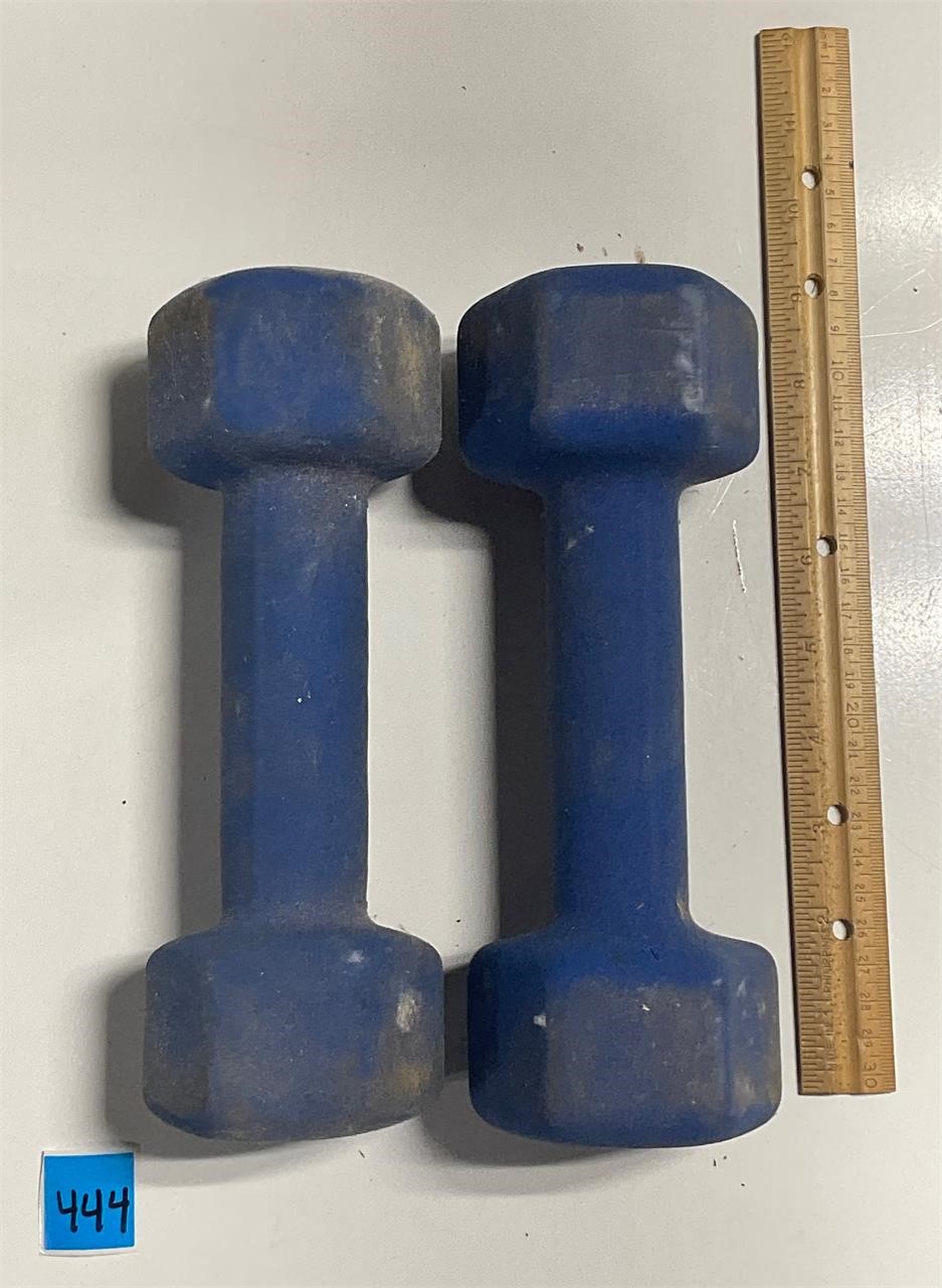 Pair of 8 Lb. Dumbbells