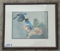 Framed Blue Jay Bird Art