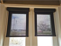 Two 21" Window Shades