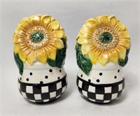 Salt & Pepper Shaker Set