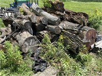 Wood Logs and Stumps (Weathered) Variety of Sizes