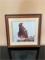 Eagle Picture