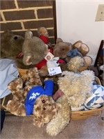 Teddy Bear Lot