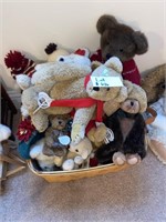 Teddy Bear Lot