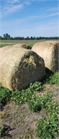 4x alfalfa grass mix  4x5 rounds 2022 been under