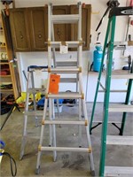 Little Giant Extension Ladder