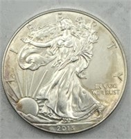 (JJ) 2013 Silver Eagle Coin 1 oz