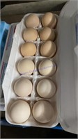 1 Doz Fertile Buff & Lavender Orpingotn Eggs