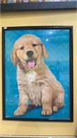 Framed print of a lab puppy. Measures 18 x 24“