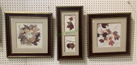 3 framed leaf prints - signed and numbered prints