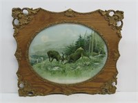 Framed Stag Picture