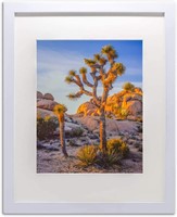 A PLUS MAX 16x20 frame. White Solid Wood Picture F