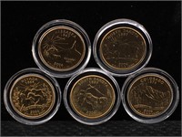 Gold Plated 2006 State Quarter Set