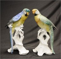 Pair German porcelain Karl ENS parrots