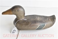 Primitive Swimming Mallard Duck: