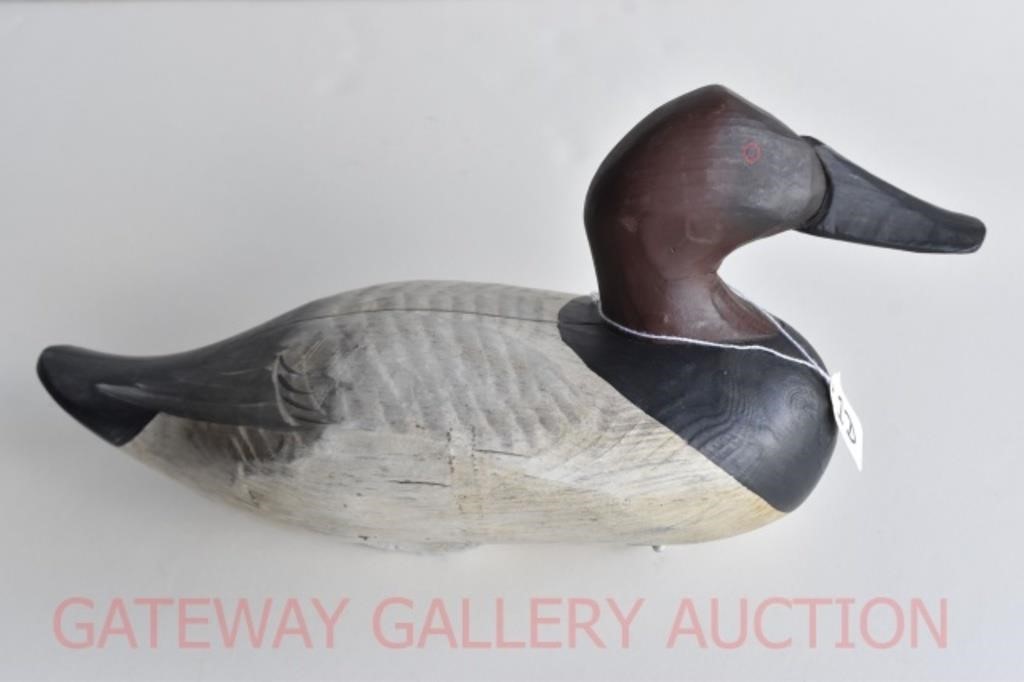 Susquehanna Flats Canvasback: