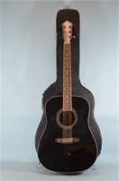 Ibanez Acoustic Guitar and Case