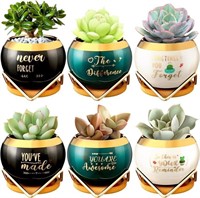 (Pots Only) Karenhi 6 Pcs Teacher Gifts Funny Succ