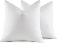 READ 18x18 Pillow Inserts, Pack of 2