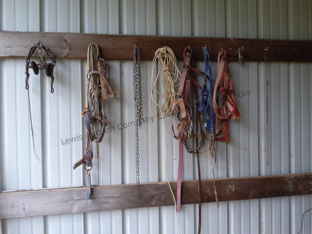 All horse equipment on wall