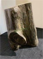 Petrified wood - good size piece of petrified