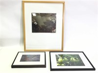 4 Framed Photographic Prints, Tom Zoss, Pfingston+