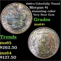 1880-s Colorfully Toned Morgan Dollar $1 Grades Ch