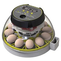 KEBONNIXS 12 Egg Incubator with Humidity Display,