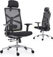 HOLLUDLE Ergonomic Chair  High Back  4D Arms
