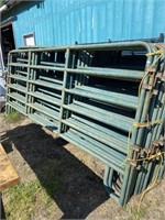 12 cattle panels 12 feet long 64 inches tall.