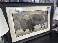 Buffalo Framed Art 40.5" x 28.5"