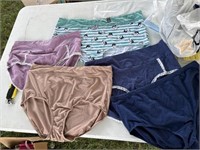 Ladies new two and 3X panties