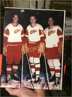 Detroit Red Wings Picture - 8 x 11