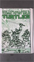 Teenage Mutant Ninja Turtles #4 Key Comic Book
