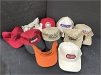 Variety of 10 Hats Comes With Bag
