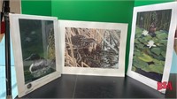 3 Prints: Bittern, Northern Wood Duck & Loon with