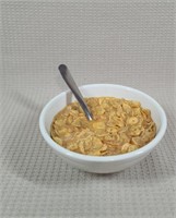 Fake Bowl Of Cereal